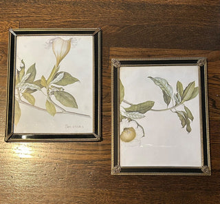 Vintage Frame, Holds 8”x10”    MTS|123831