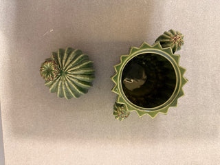 Cactus ceramic shape candy or snack food jar RSV|79138