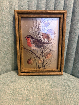 Framed Bird Image - MTS