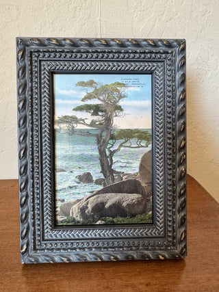 Framed Vtg Monterey Lone Cypress Postcard RCD|100980