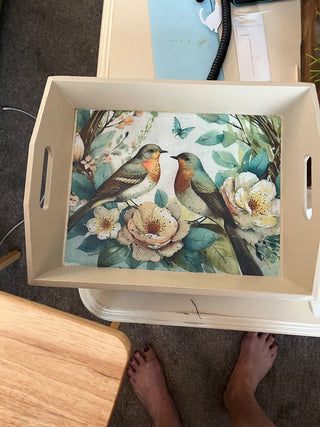 Bird Tray RCD