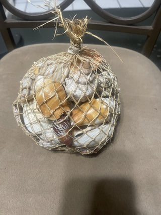 bag of vintage shells rsv