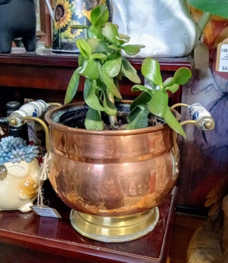MW Vintage Dutch Copper Pot with Plant MTS|92830