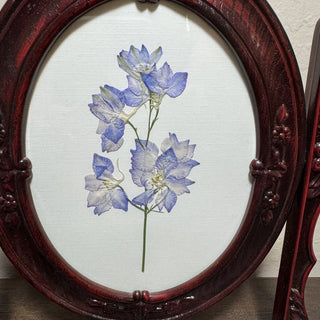 Pressed Botanical Art in Vintage Faux Wood Frame MTS|88862