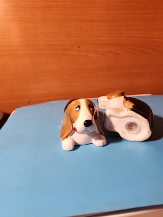 Bassethound salt and pepper