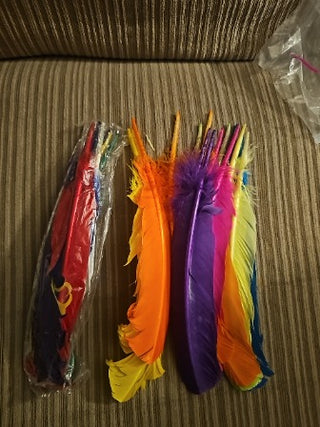 Bag of Feathers