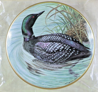 Franklin Porcelain Water Birds of the World Great Northern Diver 1981 #47 VV MTS