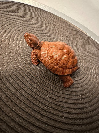Turtle Brown Molded|55883