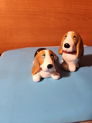Bassethound salt and pepper