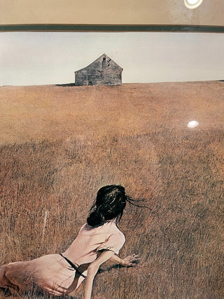 Andrew Wyeth "Christina's World" MTS|79834