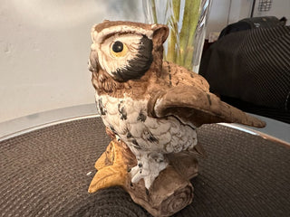 Owl China Wings Open MTS|89881