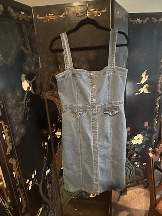 Regeneration Overall Denim Dress XL #62 VV MTS