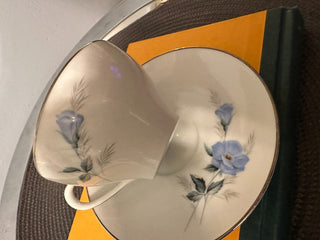 Vintage Teacup/Saucer B- Noritake Sylvia MTS