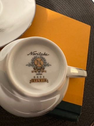 Vintage Teacup/Saucer B- Noritake Sylvia MTS