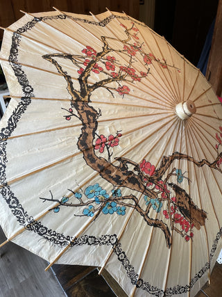Japanese Parasol - RCD