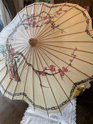 Japanese Parasol - RCD
