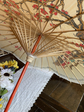 Japanese Parasol - RCD