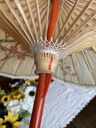 Japanese Parasol - RCD