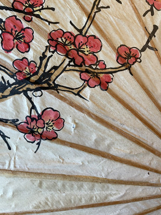 Japanese Parasol - RCD