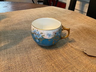 Antique Porcelain teacup hp France MTS
