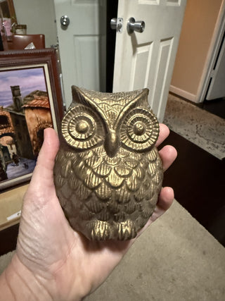 Gold Owl (lg)|48008
