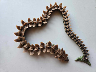 Flexi Aquatic Dragon|66683