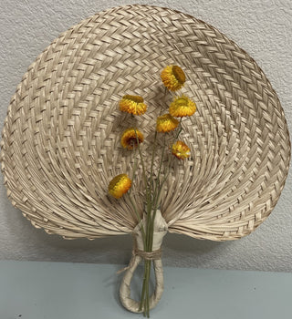 Raffia Fan 13in Dried Everlasting Flower MTS 49|95803