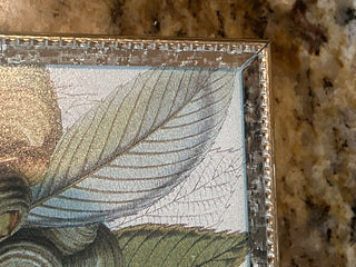 Vintage Gold Bi-Fold Frame  3.5x5”    MTS