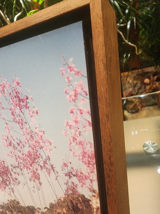 1970s Coast Photo in Woodenbox Frame RSV|72173