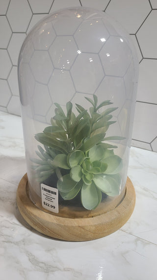Frosted Glass Cloche Terrarium|77253