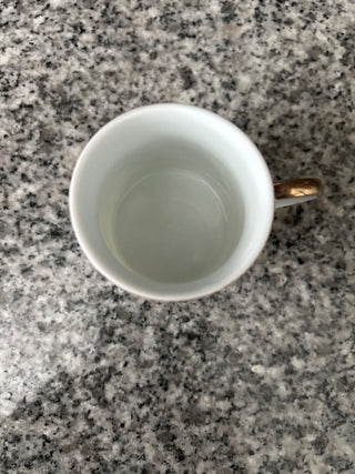 Demitasse Espresso Cup and Saucer, Set of 2    MTS