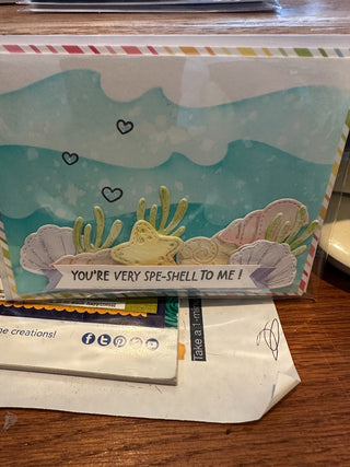 Greeting Card - "You're very spe'shell to me!" seashells G192|65259