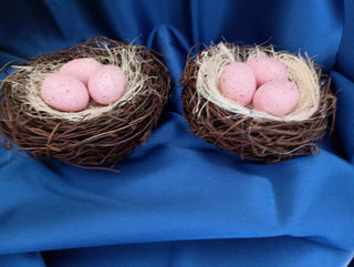egg nest ( 2) rsv