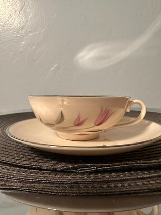 Vintage Teacup/ Saucer Franciscan Carmel MTS