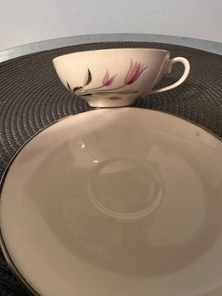 Vintage Teacup/ Saucer Franciscan Carmel MTS