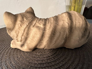 Cat Gray Ready to Pounce MTS|89851