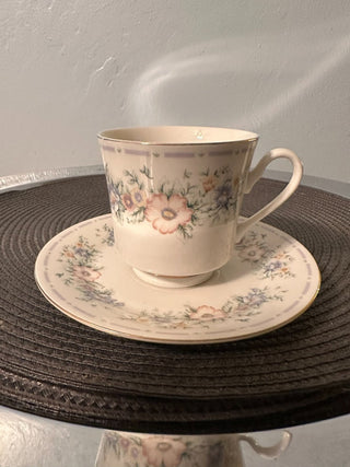 Vintage A Teacup/ Saucer Belle Jardin MTS