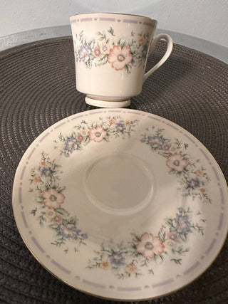 Vintage A Teacup/ Saucer Belle Jardin MTS