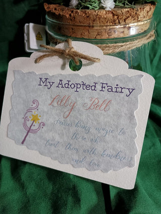 Adopt a Fairy - lights up- RSV