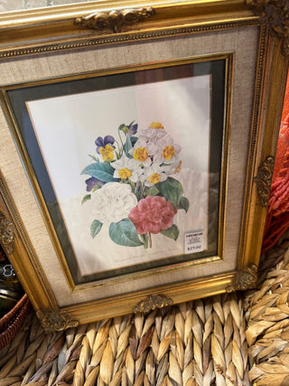Camelias Narcissus Framed Print MTS|104021