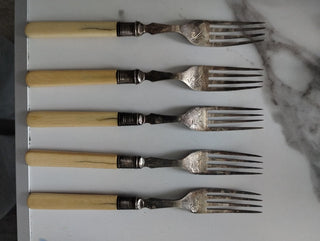 Bone Handle Fork Set|59519