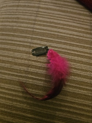 Hair Feather  w/Clip