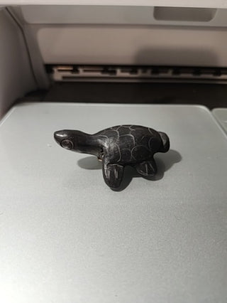 Turtle whistle