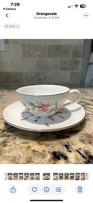 Castle Court Rose Glow Tea Cup RCD