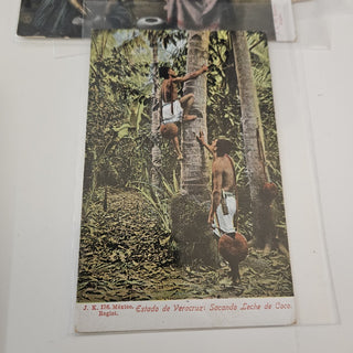 Antique Postcards - Republica Mexicana (BRI) - MTS|111914