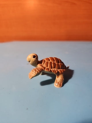 Hagen rednecker turtle