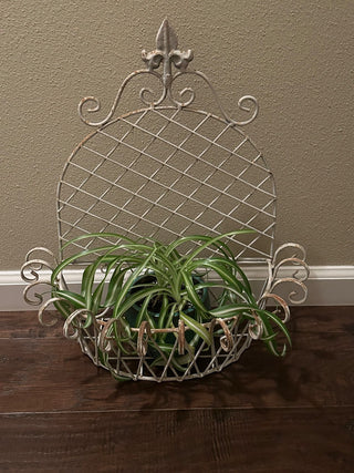 Decorative Metal Wall Basket    MTS