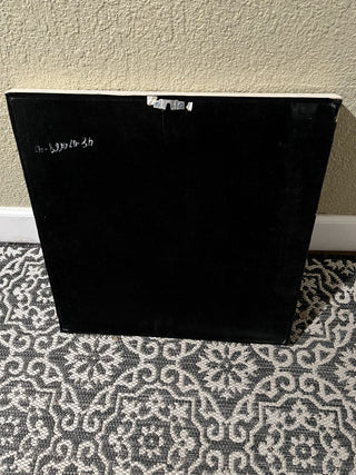 HUGI 19.75" x 19.75" Brown Agate Slice Shadow Box Hanging Wall Art RCD