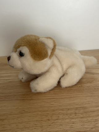 RSV 6” GUND Boo The World's Cutest Dog Plush,|83898