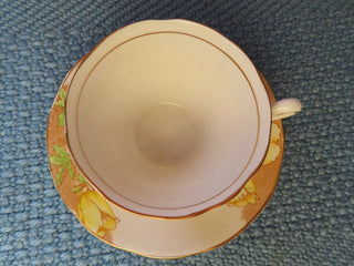 tea cup and saucer MTS
